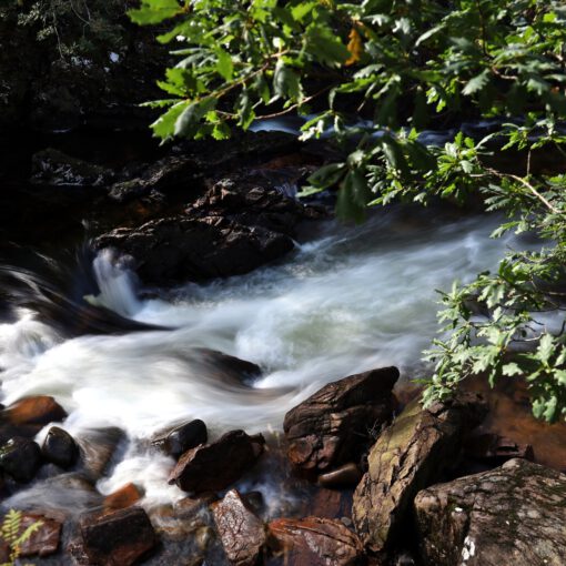 An den Glen Nevis Lower Falls