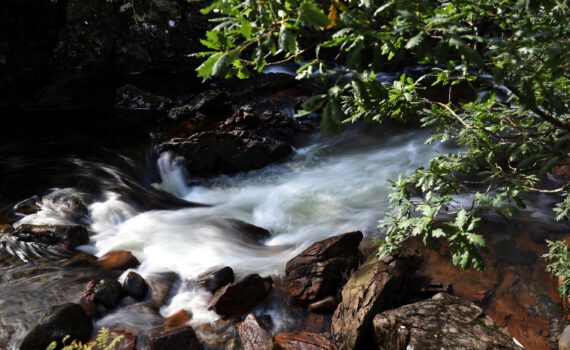 An den Glen Nevis Lower Falls