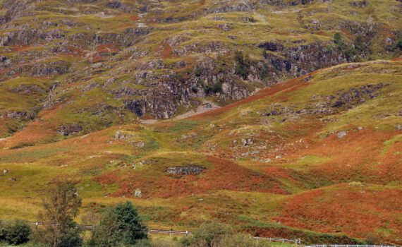 Am Loch Achtriochtan mit Blick zum Sgor nam Fiannaidh (967 m)