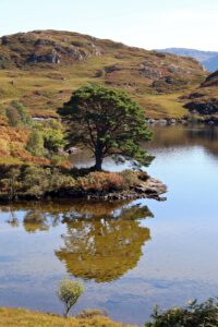 Am Loch Morar