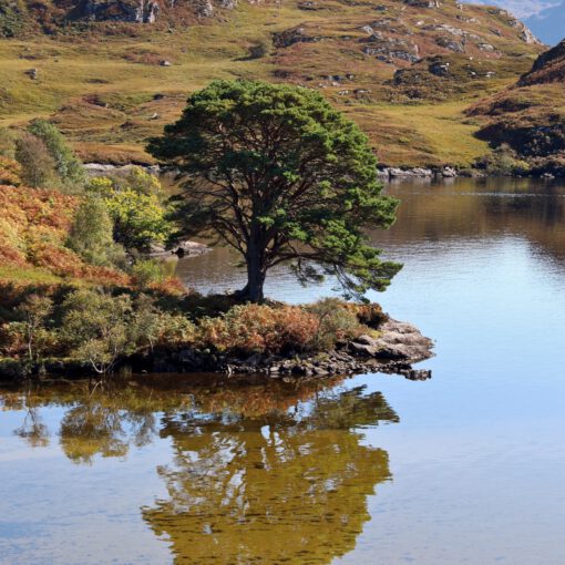 Am Loch Morar