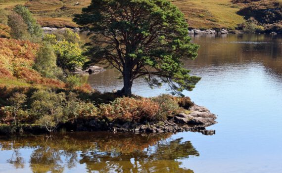 Am Loch Morar