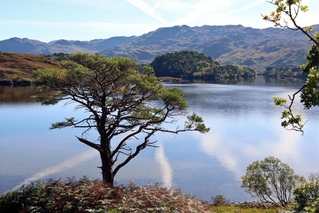 Am Loch Morar