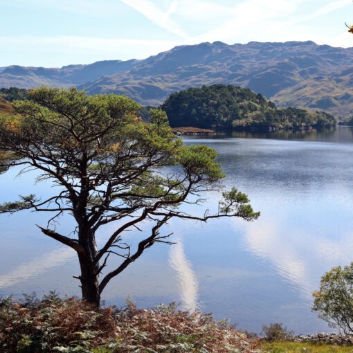 Am Loch Morar