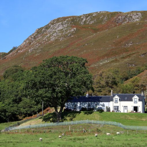 Am Loch Morar