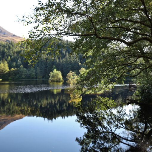 Am Glencoe Lochan mit Pap of Glencoe (Sgorr na Ciche, 742 m)