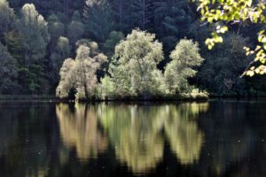 Am Glencoe Lochan