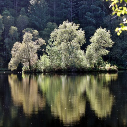 Am Glencoe Lochan