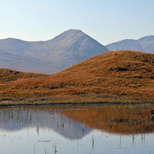 Im Rannoch Moor