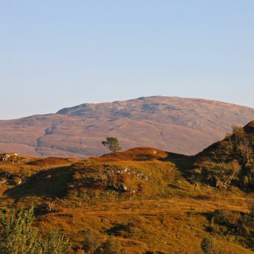 Landschaft bei Glenfinnan im Abendlicht