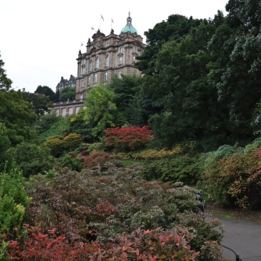 Blick zur Altstadt von den Östliche Princes Street Gardens aus