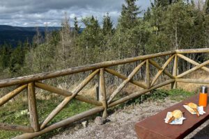 Picknick mit Bratwurst auf dem Kickelhahn