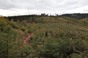 Ein weiterer Mountainbike-Trail wird gebaut