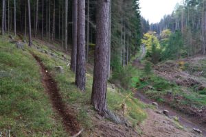 Ein wilder MTB Trail