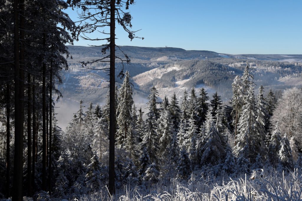 Blick zum Schneekopf