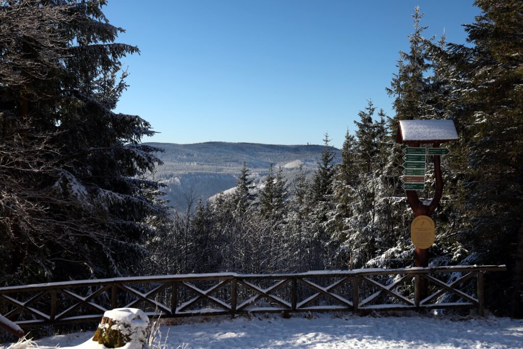 Blick zum Schneekopf