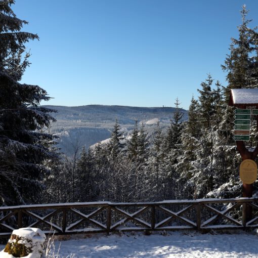 Blick zum Schneekopf