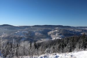 Blick über das Ilmtal zum Rennsteig