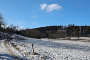 Oberhalb vom Sportplatz Oehrenstock