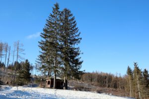 Schutzhütte an der Alten Langewieser Straße