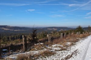 Auf dem Ilm-Rennsteig-Radweg (Google-Maps) zum Höllteich