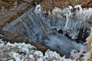 Am Ochsenbacher Teich