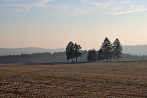 Am Rennsteig an der Bergwiese bei Neustadt